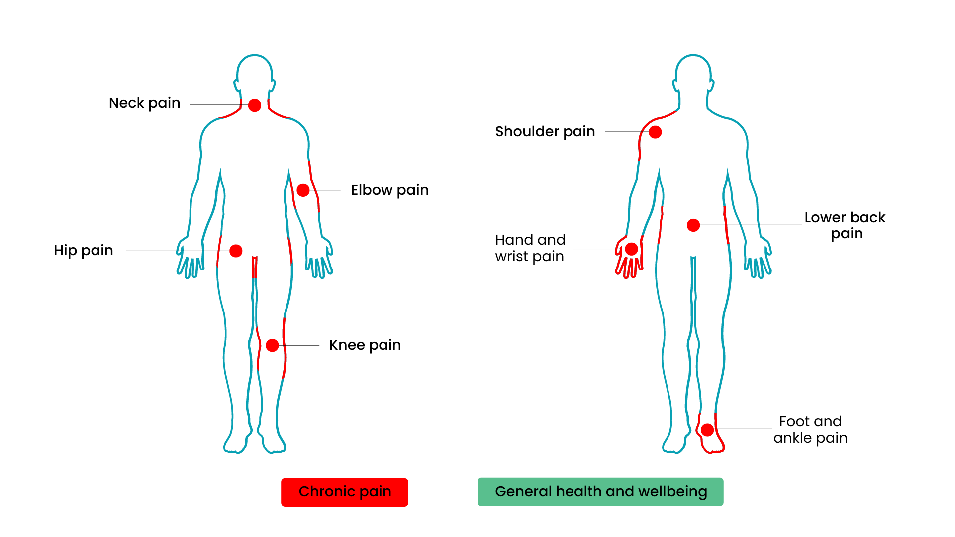 outline of human body indicating common aches and pains 
