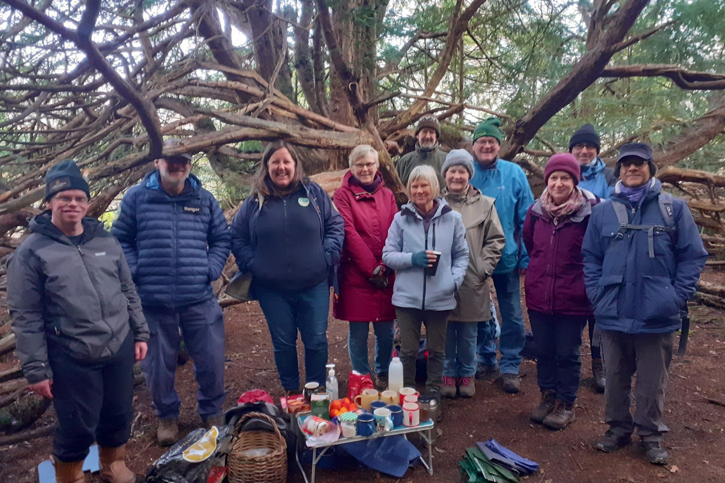 A group of adult countryside volunteers enjoying a hot drink and a snack under a huge sprawling tree