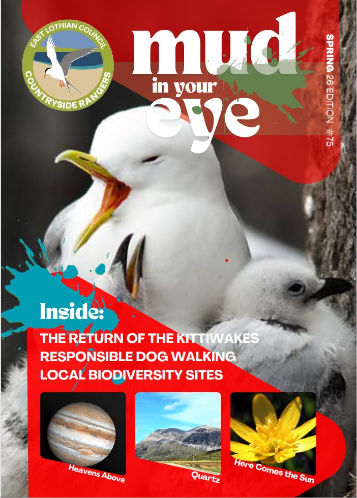 Mud in your Eye cover Spring  2026