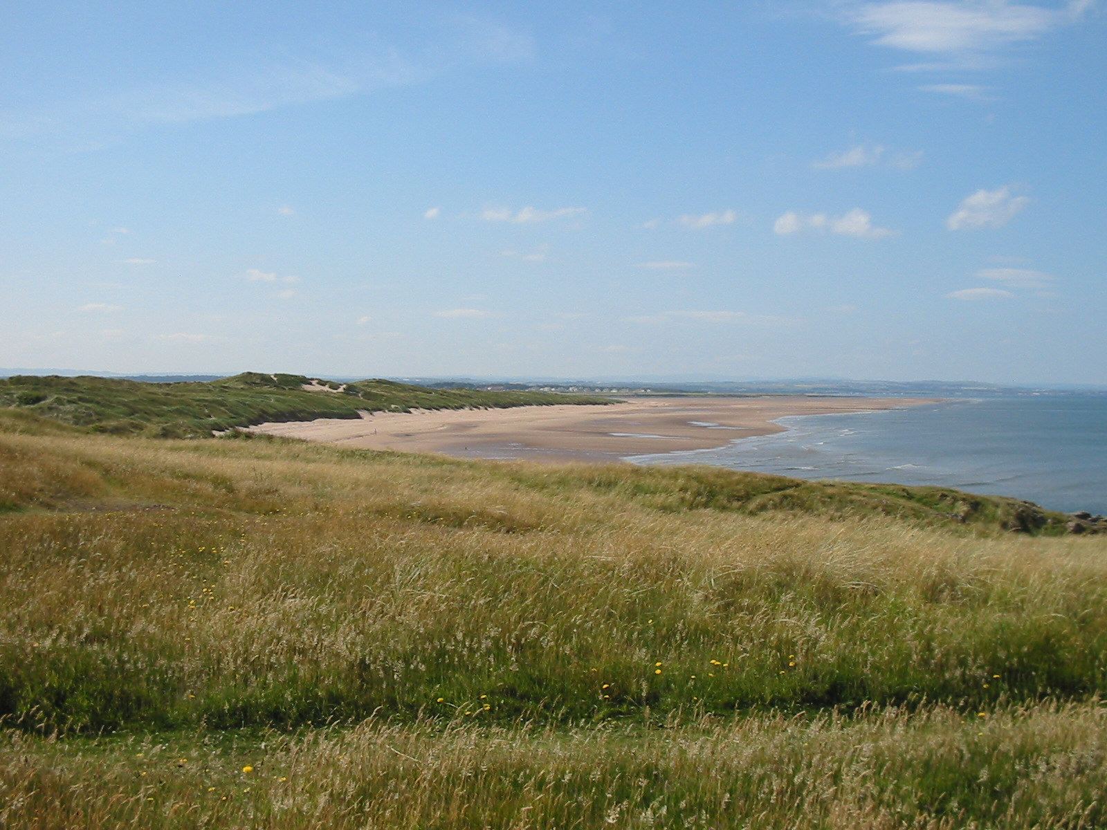 Aberlady Bay LNR