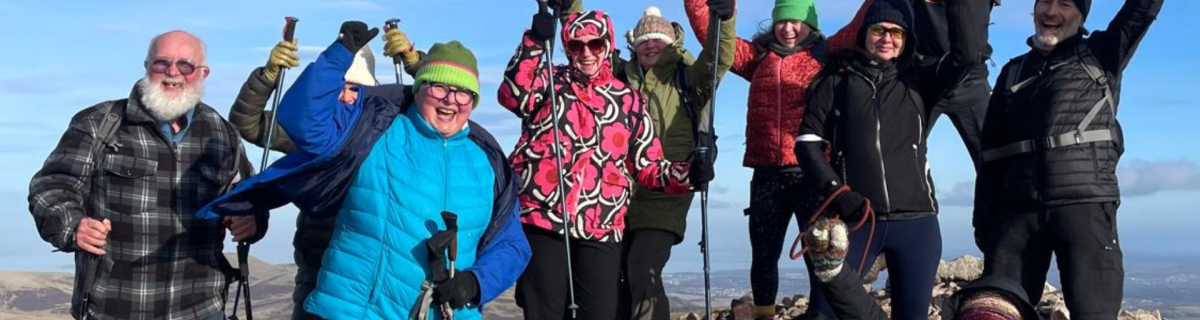 Group of people cheering at the top of a hill